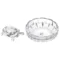 Crystal Turtle Tortoise with Plate for Feng Shui and Vastu Best Gift for Career and Good Luck